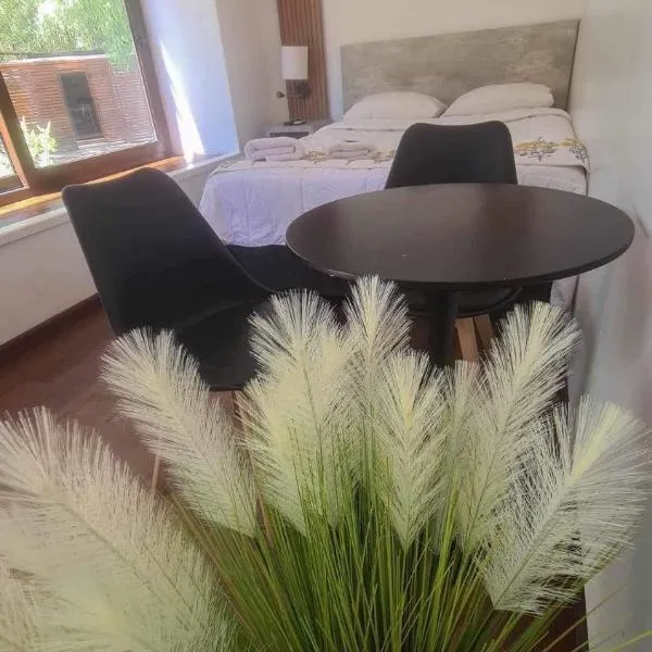 Alojamiento Borde Río habitación, hotel in Concepción