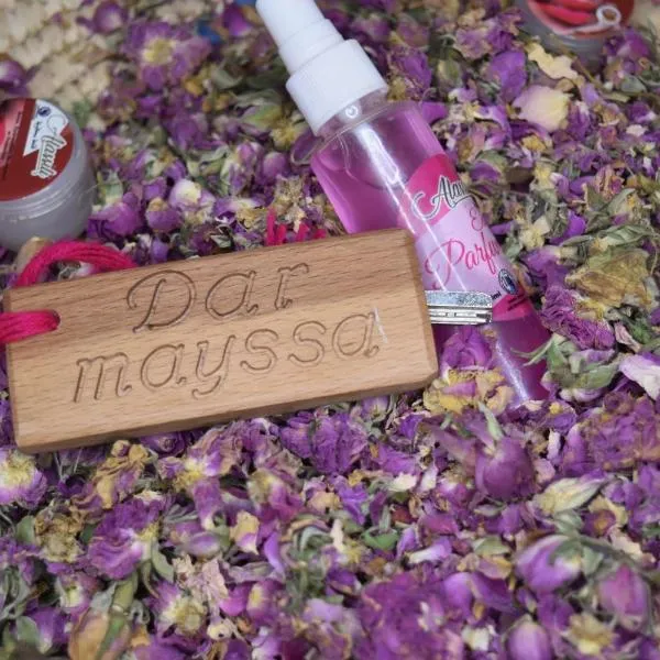 Dar Mayssa Rose, hotel v destinaci Zawyat