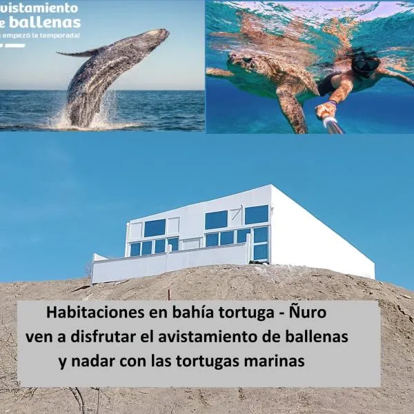 Habitaciones Bahia de las Tortugas Ñuro, hotel in El Ñuro