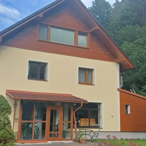 SeeblickHallstatt-Krippenstein, hotel v Obertraunu