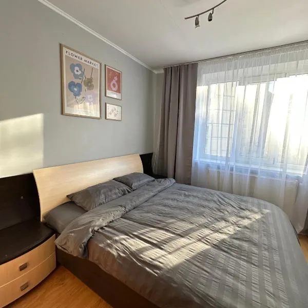 ParcView Apartament, hotel in Chişinău