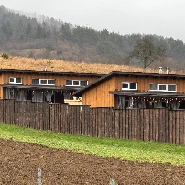 Prozori Boiky, hotel di Lopushanka-Khomyna