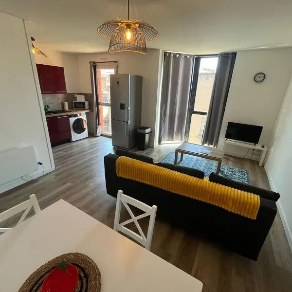 Le Félix Lagravère 1 lit double 1 canapé- lit double，位于蒙托邦的酒店