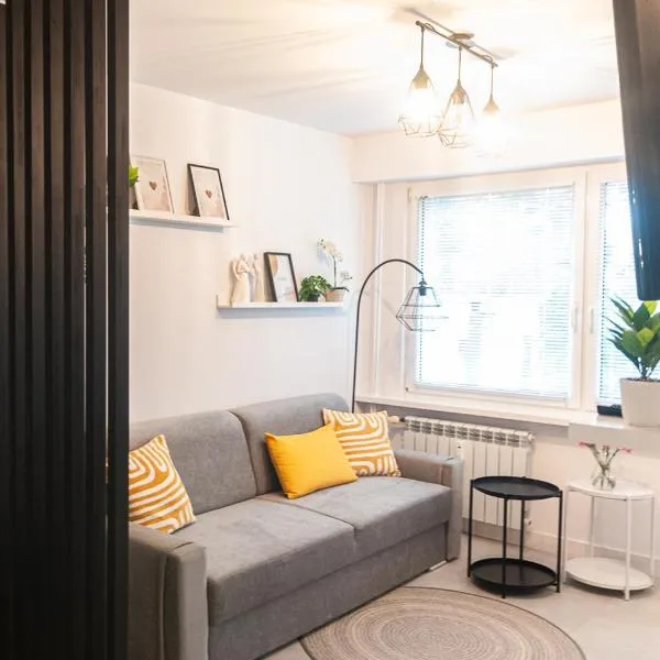 Po Sąsiedzku Apartament z Klimatem, hotel in Włocławek