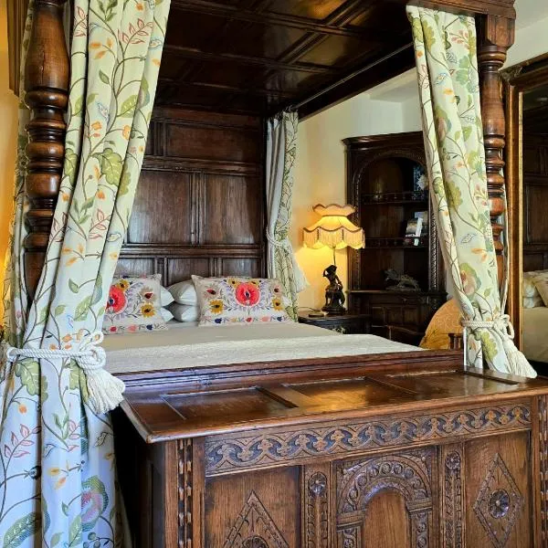 The Firecat Country House Guesthouse, hotel in Mallwyd