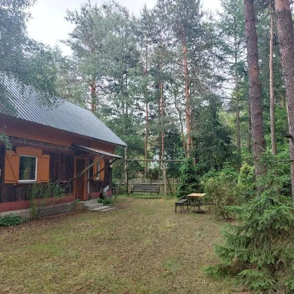 Leśna chatka, hotel in Wilga