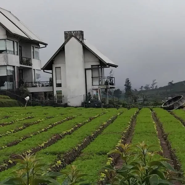 The Essence – hotel w mieście Nuwara Eliya