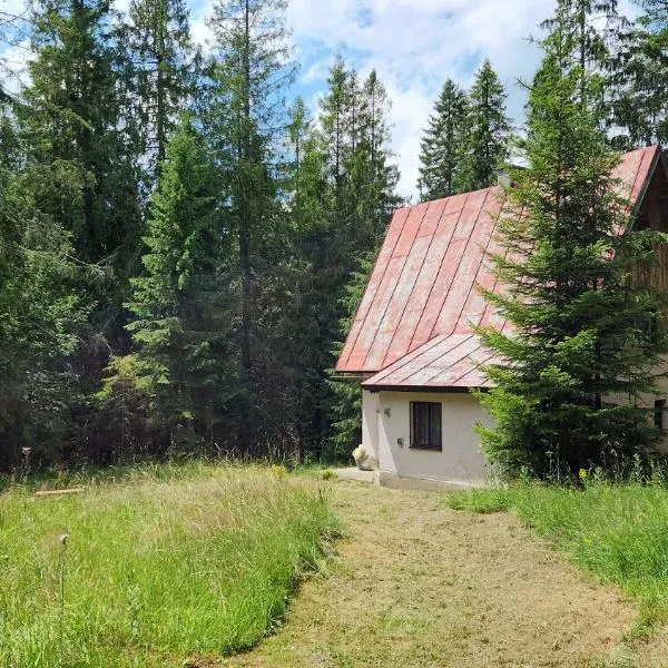 Chata u Hagrida, hotel di Štrba