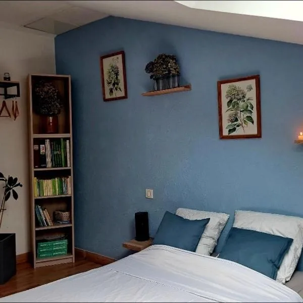 Maison atypique médiévale, hotel v destinaci Saint-Léonard-de-Noblat