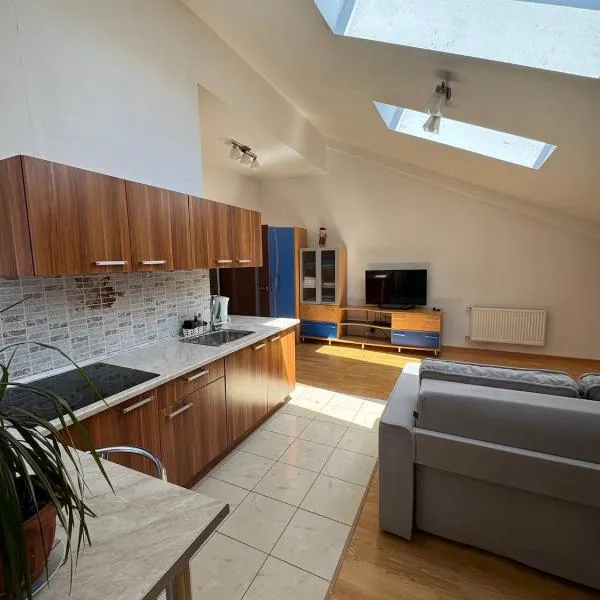 Penthouse by the park, hotel in Chişinău