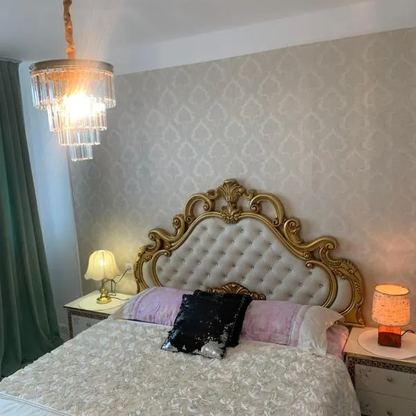 Slatina Cornisiei apartament central 2 camere și living, hotel in Slatina