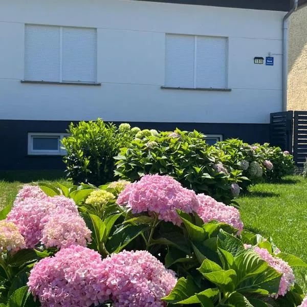 Apartman Kuća 150, hotel v destinaci Mala Subotica