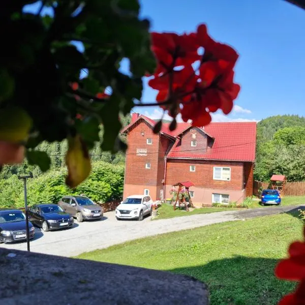 Pensiunea Cabana Viselor, hotel di Vadu Moţilor