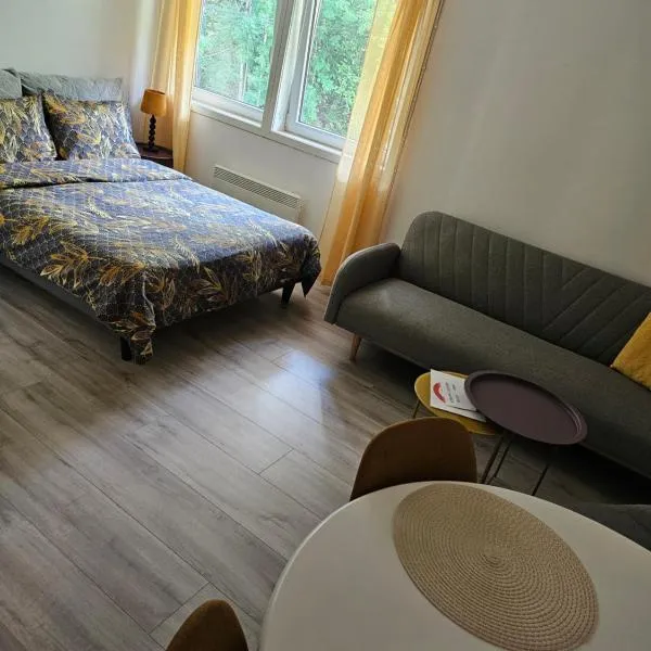 Studio 2, hotel v destinaci Dalen