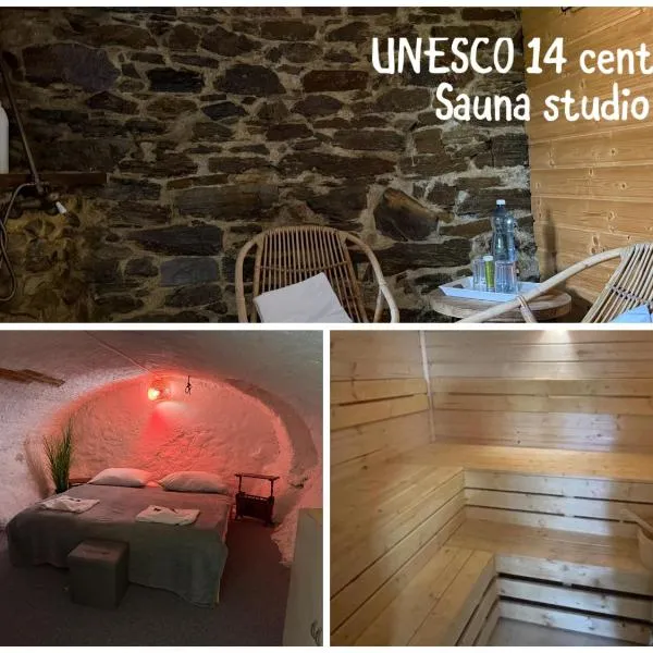 Sauna apartment UNESCO 14 century, hotel v destinaci Český Krumlov