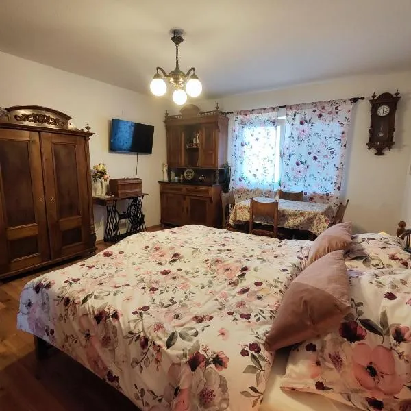 Apartmán ANNA, hotel in Honice