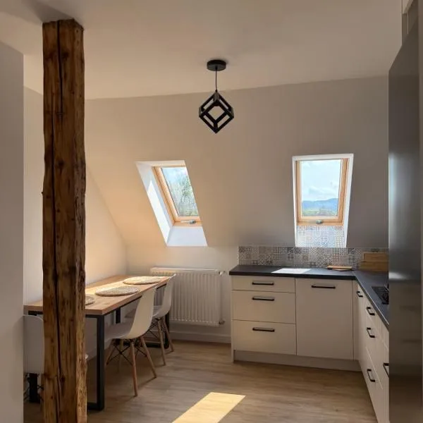 Apartament u Kuby, hotel in Kudowa-Zdrój