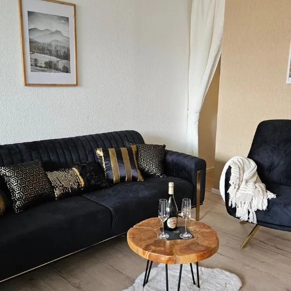 Harz DeLuxe in Altenau, hotel v destinaci Altenau