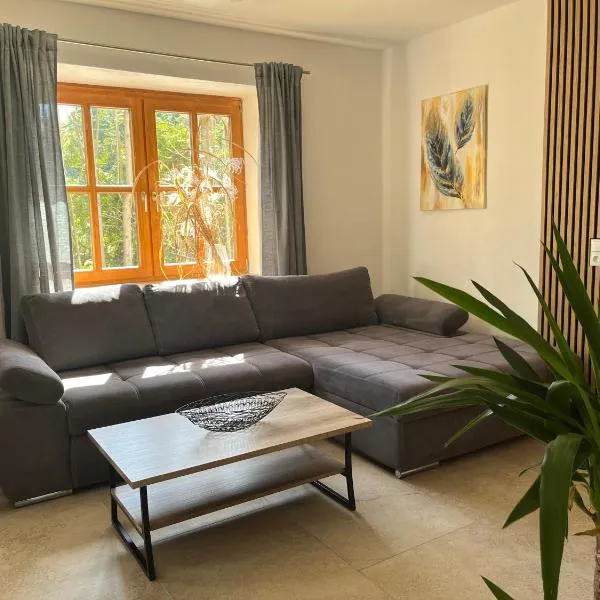 Ferienwohnung Lilly, 60qm, 4 Personen, hotel in Tann