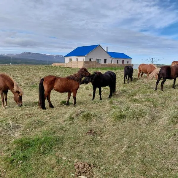 Árbakki-Guesthouse near Egilsstaðir – hotel w mieście Stóri-Bakki