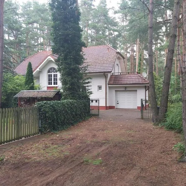 Tuczno Dom w lesie，位于Skorzęcin的酒店