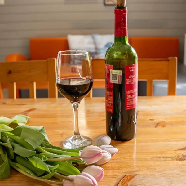 Domki Primore, hotel in Władysławowo