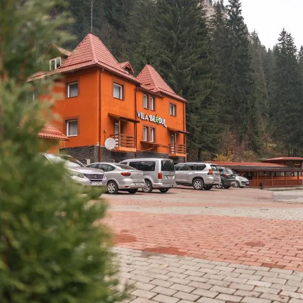 Vila Bradul, hotel in Lacu Rosu