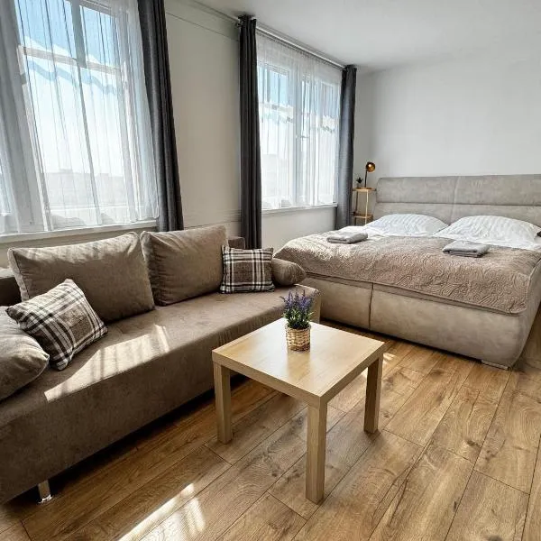 Smarty Choice Living - Vondroušova, hotel in Prague