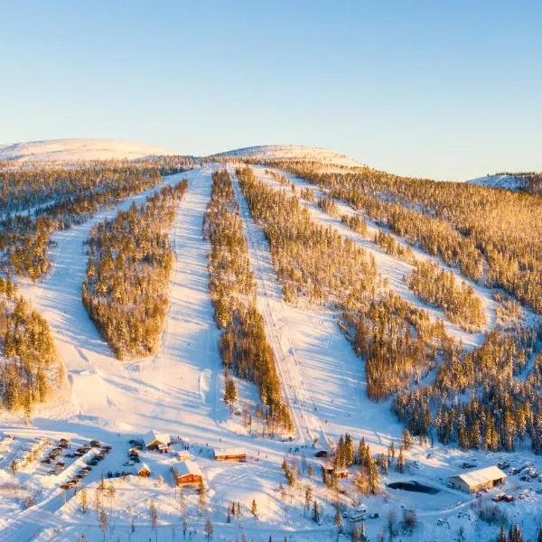 Fulufjellet cabins, hotel a Ljørdalen