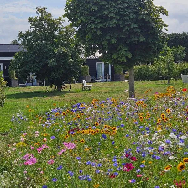 B&B Buutegeweun、Sommelsdijkのホテル