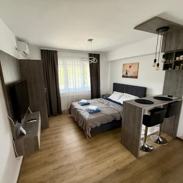 Royal Apartmani 3, hotel in Paraćin