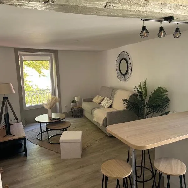 Studio Élégant Roanne, Hotel in Roanne