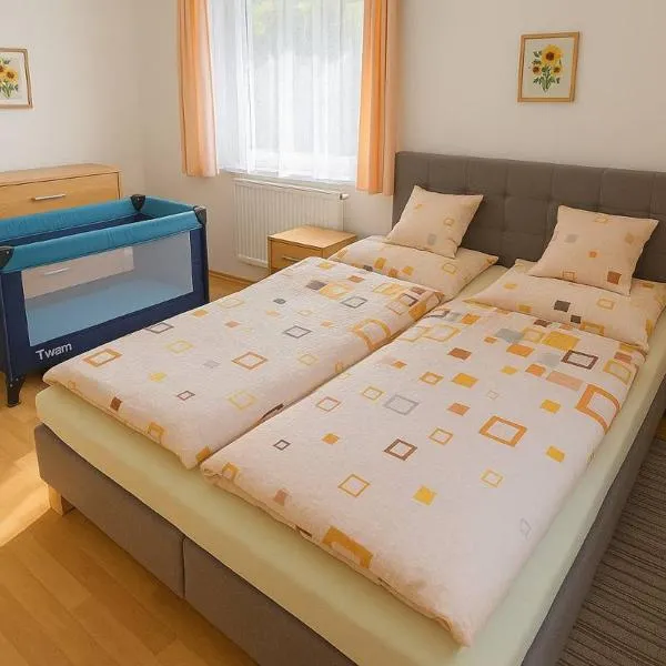 Vila u Šebestů - apartmány Volary, hotel di Volary