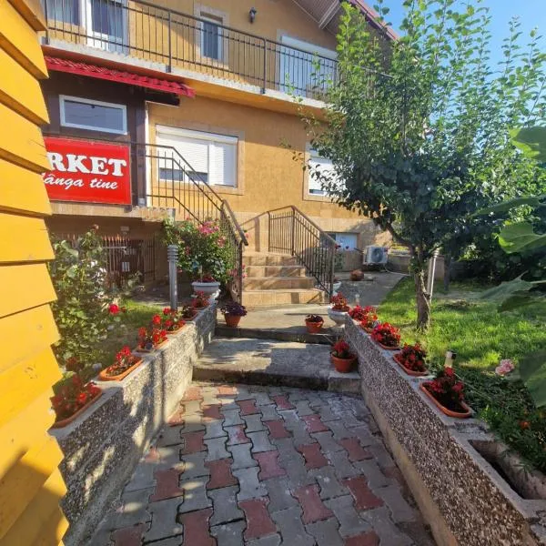 Paşcani में, होटल Apartament in vila