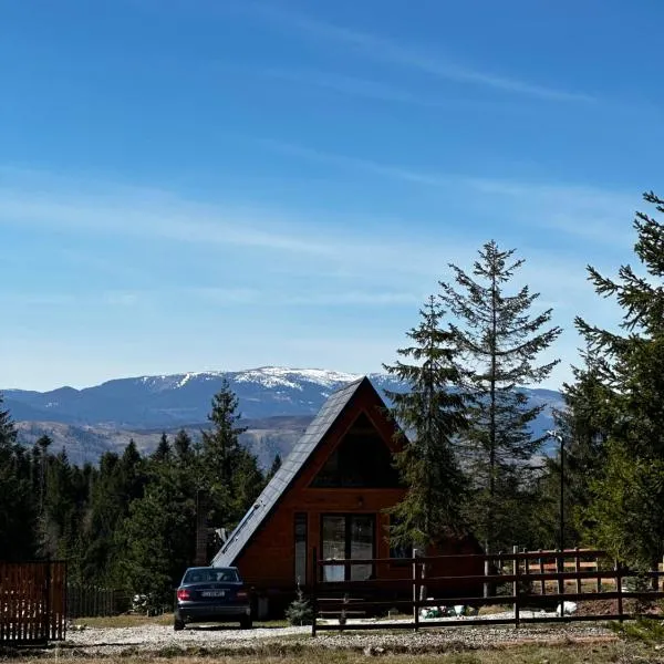 Viesnīca Cabană Panoramic Aframe pilsētā Dealu Negru