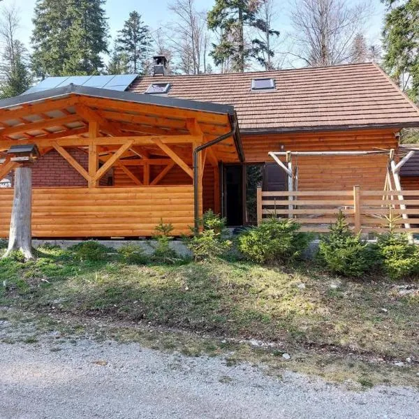 Karstwood Forest Retreat, hotel en Planina