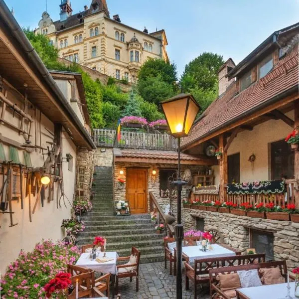 Casa Savri, khách sạn ở Sighişoara