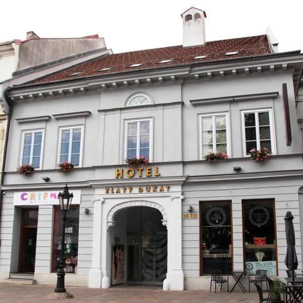 Boutique hotel Zlaty Dukat, hotel v Košicích