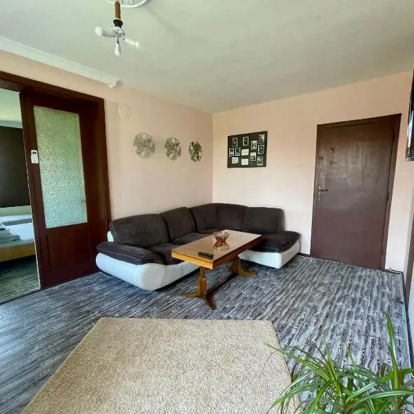 Къща за гости САРАЯ Ретро стил, hotel in Svishtov