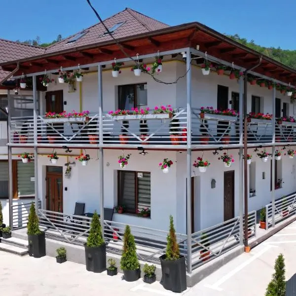 VAiAs Aparts, hotel in Târgu Neamț