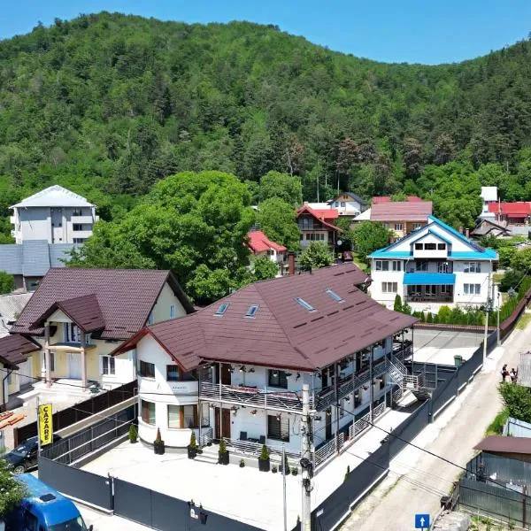 VAIAS Apartamente cu Terasa si Vedere Munte, hotel u gradu Targu Njamc