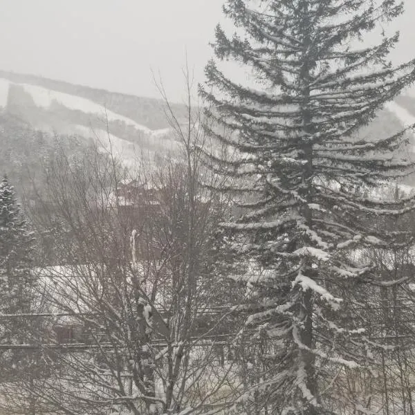 Mountain view chalet avec vue sur la montagne, hotel i Stoneham