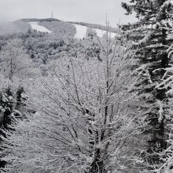 Mountain view chalet avec vue sur la montagne, hotel em Stoneham