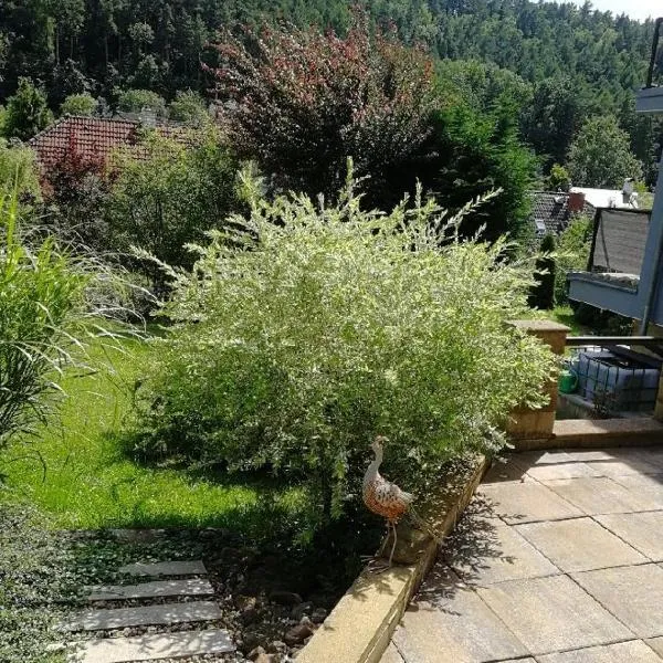 Apartmán Červený Vrch, hotel in Děčín