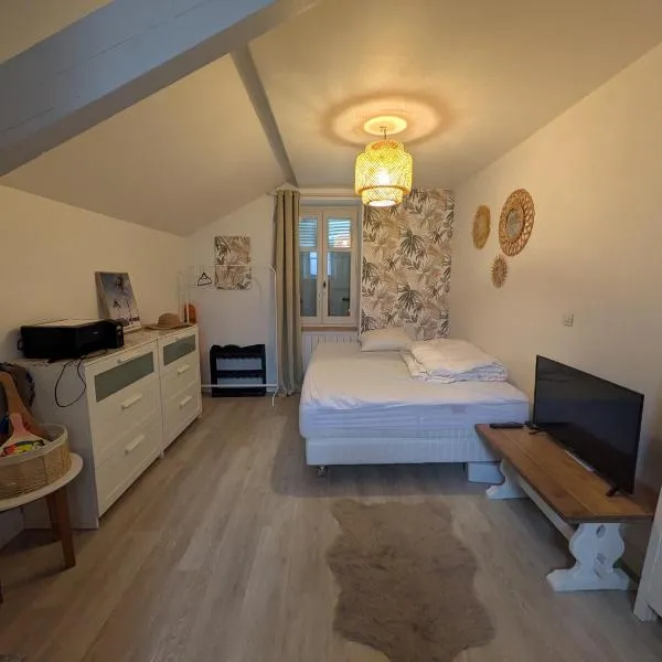 Logement hyper centre et près de la plage 1er étage, hotel in Biarritz