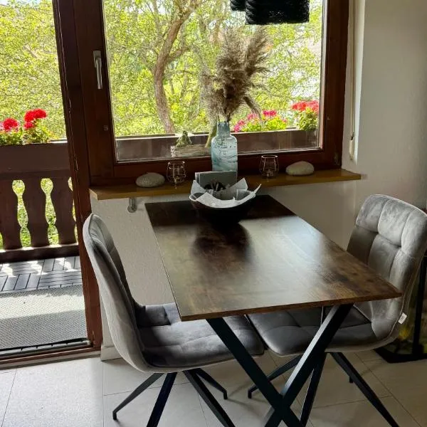 Pension Schmidt - Wipfelblick - Voll ausgestattetes Loft Apartment, hotel a Häusern