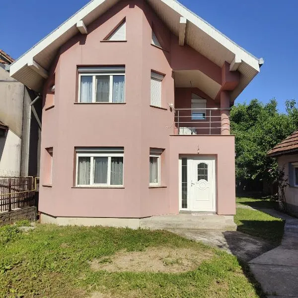 Vila Ciciou, hotel in Negreşti-Oaş