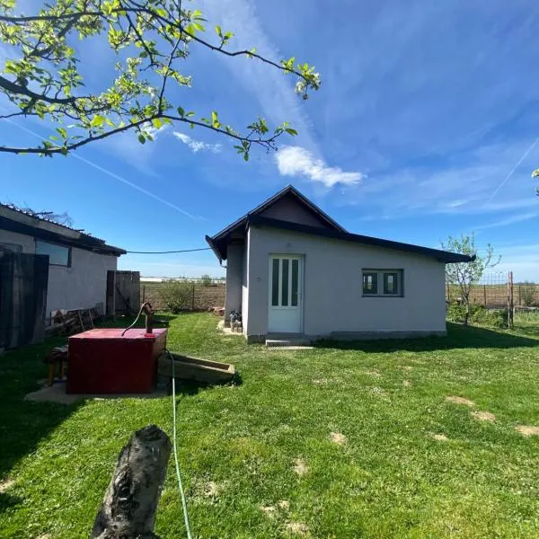 Salaš u Futogu, hotel in Železnička Stanica Futog