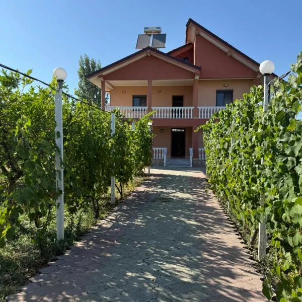 Villa Gega, hotel in Kamëz