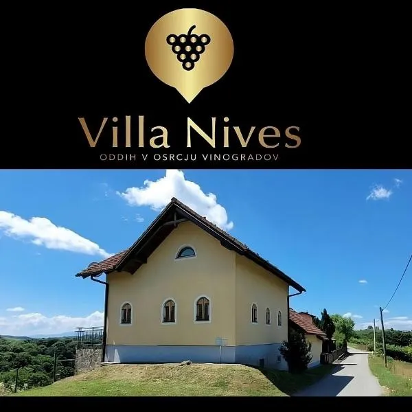 Villa Nives, wine region Jeruzalem, hotel in Ivanjkovci